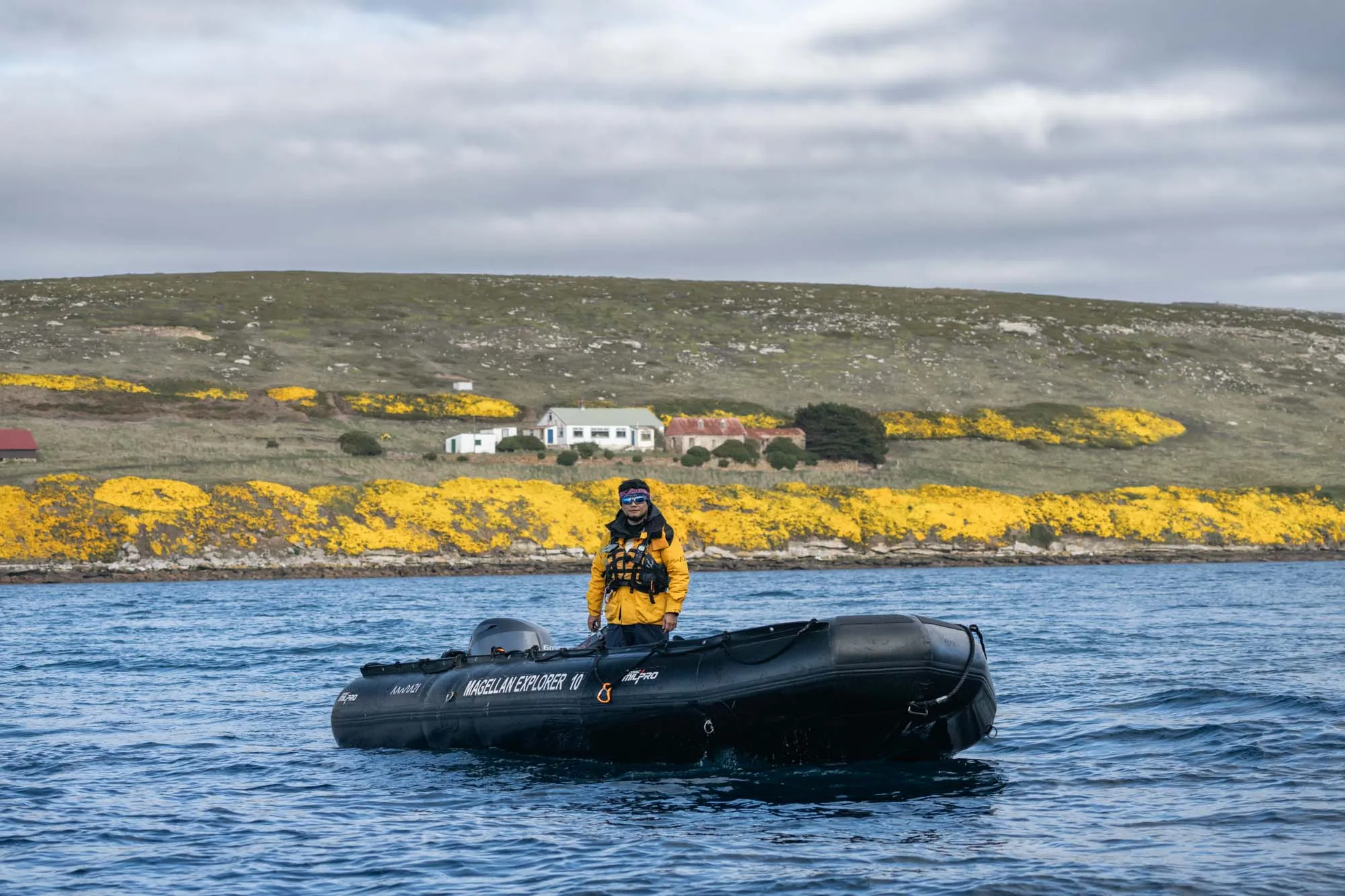 South Georgia & the Falkland Islands - Sea Voyages
